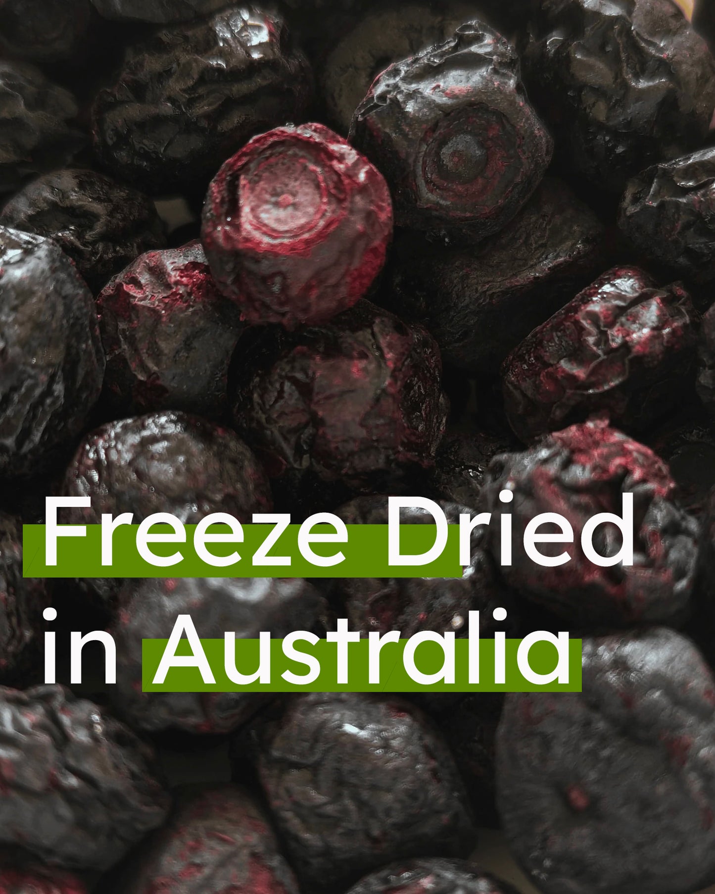 Freeze Dried Blueberries - Whole