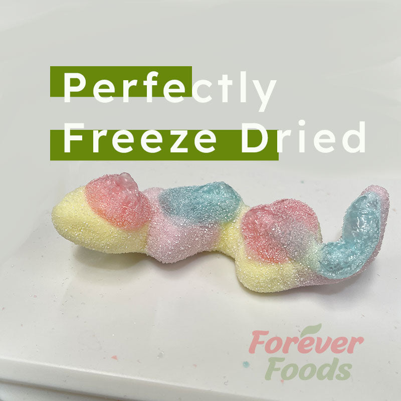 Freeze Dried Lizards