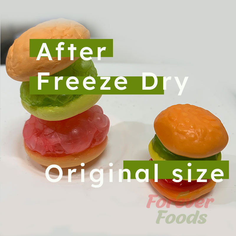 Freeze Dried Burgers