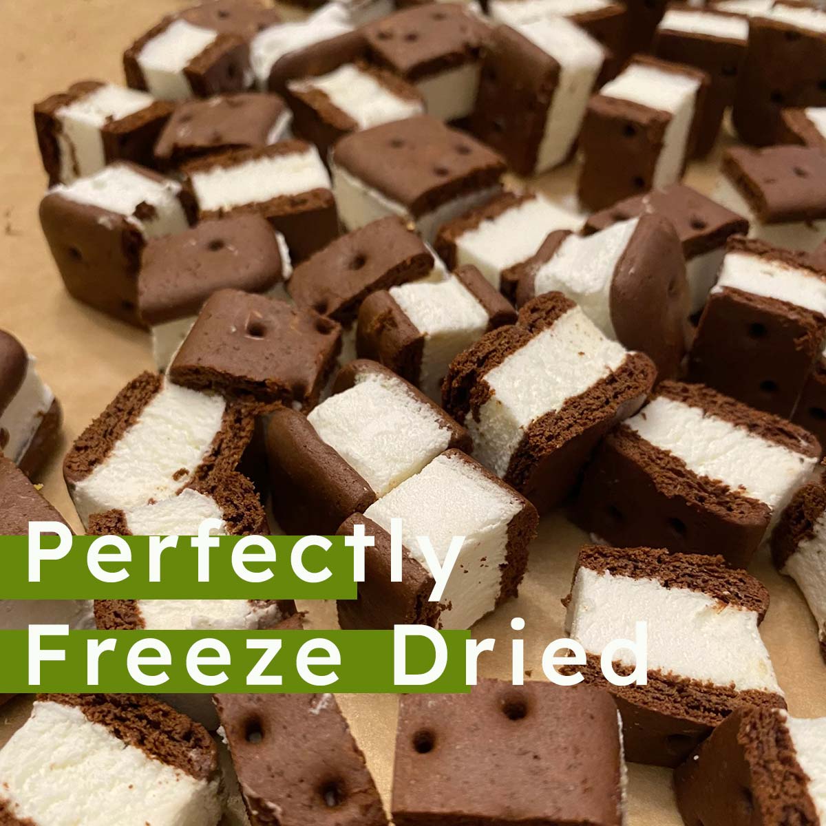 Freeze Dried Icecream - Sandwich - Cookies & Cream