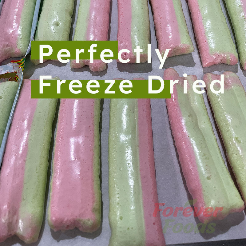 Freeze Dried Wicked Fizzers - Watermelon